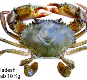 MUD CRABS 10KG