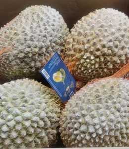 1901 Musang King Durian Whole 10 Kg