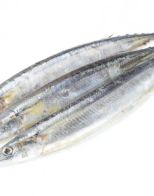 2304 Saury Fish (Sanma) 10Kg