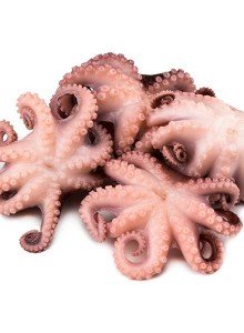 6001 40/60  Baby Octopus 20 x 500g